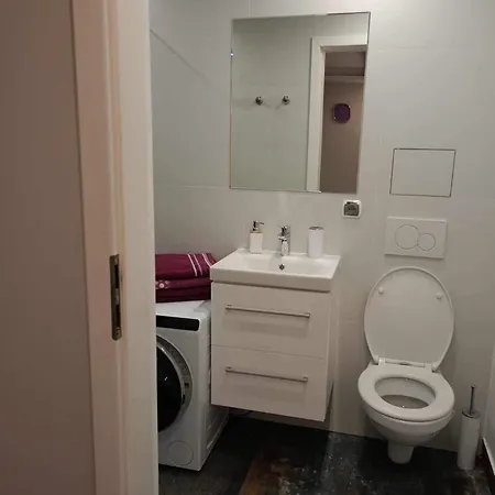 Lesnapart アパート ヘル