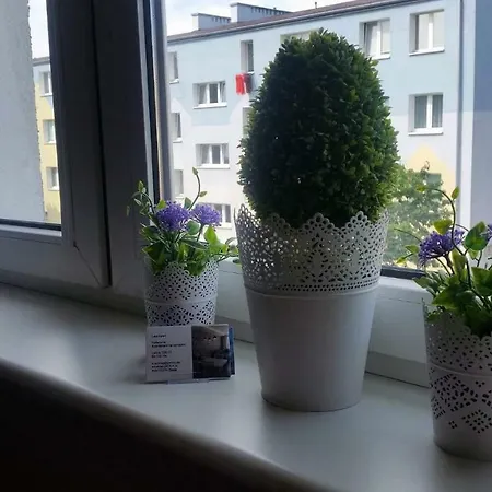 Lesnapart Apartmán